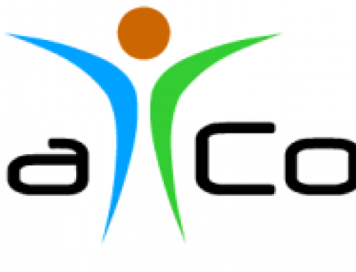 OBJAVLJEN JE ČLANAK U ČASOPISU CONSULTING O RADU SMART TAX SOLUTIONS D.O.O.